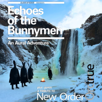 Echoes of the Bunnymen // True Order: LEEDS