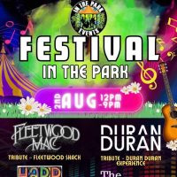 Festival in the Park