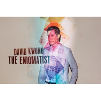 The Enigmatist