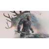 The Witcher In Concert