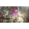 Wales v North Macedonia