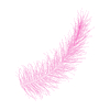 Feathers
