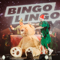 BINGO LINGO - Cardiff SU - The Christmas Special