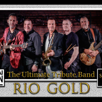 Duran Duran Tribute Night