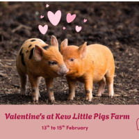 Valentines on the Farm