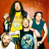 Wavves