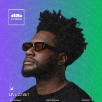 DJ Raymond at Bridgebar