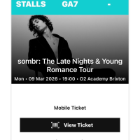 Somber: The Late Nights &amp; Young Romance Tour
