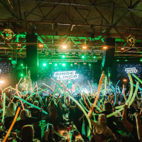 Bingo Lingo XL - St Patrick's Special