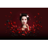Madama Butterfly - Live Lounge Premium Package