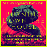 Ouroboros' Burning Down the House