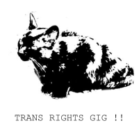 Trans Rights Mosh Night!