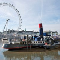 Speed Dating (Ages 50-65)