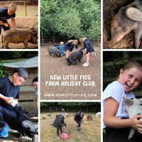 Kew Little Pigs Farm Easter Holiday Club
