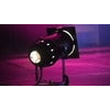 CHAT NOIR!