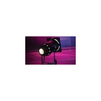 CHAT NOIR!