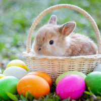 'Little Something' Easter Drinks For Singles in Coulsdon