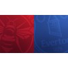 Brentford v Everton