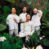 FENCES \\\\ plus Worried Desire Lines & Westheads