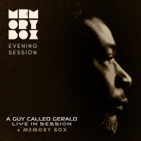 Memory Box with A Guy Called Gerald (Live) - Evening Session