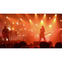 Salvation + The InSect + The Scarlet Hour