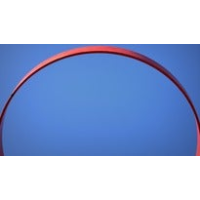 Birmingham Panthers V Nottingham Forest