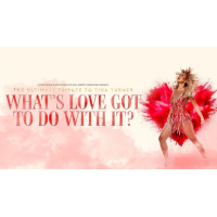 What's Love Got to do With it? - The Ultimate Tribute to Tina Turner
