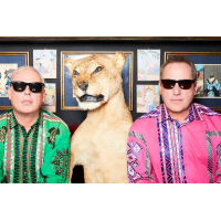 OMD's Summer Of Hits