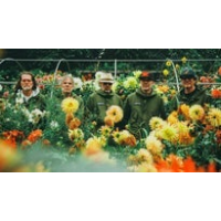 Super Furry Animals - Mwng in full & classic set