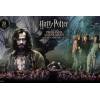 Harry Potter and the Prisoner of Azkaban