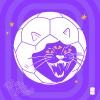 DISCO PUSS: "Disco Ball's Coming Home" - ENGLAND vs NORWAY