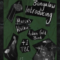 Aidan Gold Band, Marcus Walker & Cody