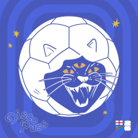 DISCO PUSS: "Disco Ball's coming home" - ENGLAND SEMI FINAL