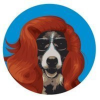 Hare of the Dog Comedy - KH Comedy Fest Closing Show!