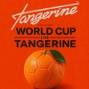 World Cup : France V Spain
