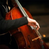 Chopin - The Cello Works (with a free shot of Limoncello)