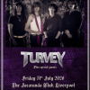 TURVEY Live in