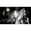 Nick Cave &amp; The Bad Seeds