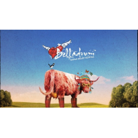 Belladrum Festival 2026 - Friday Day Tickets