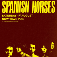 Spanish Horses
