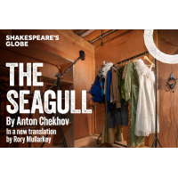 The Seagull