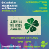 Introduction To Irish Language