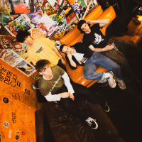 Permanent (Joy): The Farewell Gig