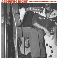 The Acoustic Night | An Evening of Intimate Music
