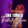 Queen of Rock n Roll A Tina Turner Tribute