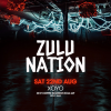 Zulu Nation - Summer Party