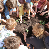 Kids gardening club & make your own pizza