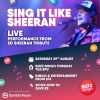 A tribute to Ed Sheeran