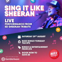A tribute to Ed Sheeran