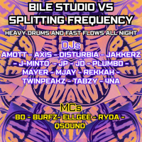Bile Studio V Splitting Frequencies